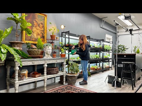 Organizing the Studio + Plant Tour!