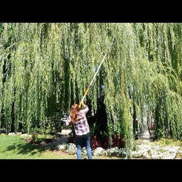 Flower Bed Refresh, Willow Pruning, & Still Planting Annuals!