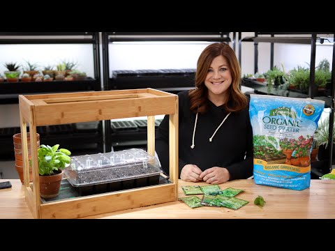 Planting Herb Seeds + Indoor Herb Growing Tips!