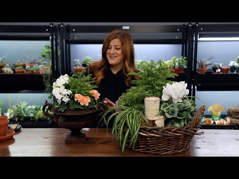 Putting Together Two Easy Winter Centerpieces!
