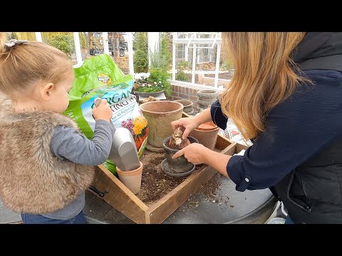 Planting Amaryllis, Paul Built Custom Root Cellar Shelves + Frost Free Water in the Greenhouse!