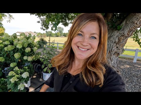 Planting Gorgeous Shrubs for Full Sun!