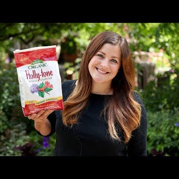 How to Use Holly-Tone Plant Food