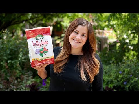 How to Use Holly-Tone Plant Food