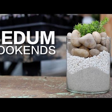 DIY Sedum Bookends