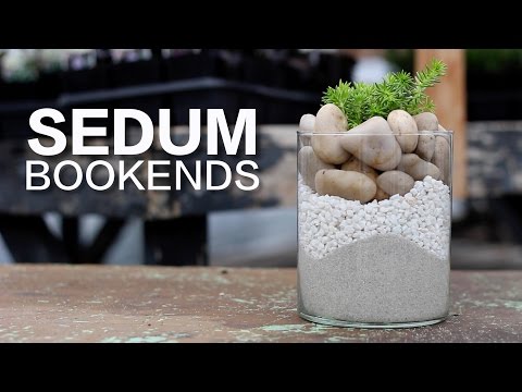 DIY Sedum Bookends