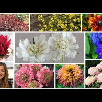 Planting a Whole Bunch of Flower Seeds for the Cut Garden!