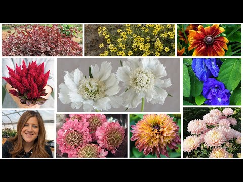 Planting a Whole Bunch of Flower Seeds for the Cut Garden!