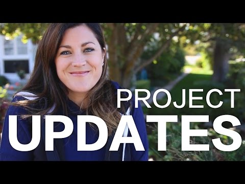 Updates! Bees | Crescent Container | Supertunias | Hydrangeas