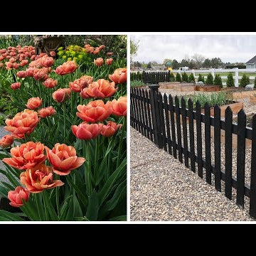Spring Blooms & Vegetable Garden Tour!