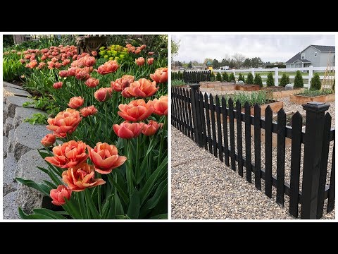 Spring Blooms & Vegetable Garden Tour!