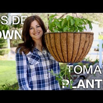 Upside Down Tomato Planter