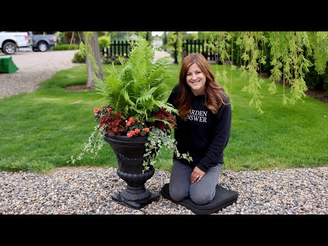 Shade Container Inspiration