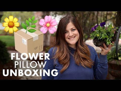 Flower Pillow Unboxing