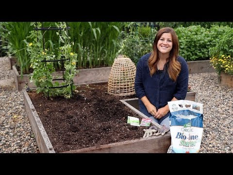 Planting For Fall Harvest!