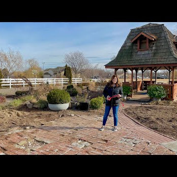 Gazebo Area Update & Tour!