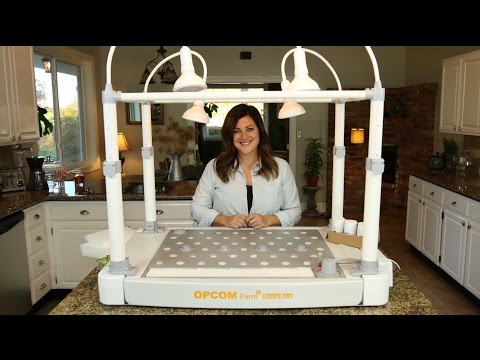 Planting my OPCOM Grow Box