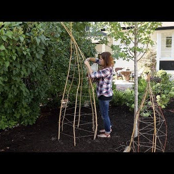 Willow Branch Trellis Project