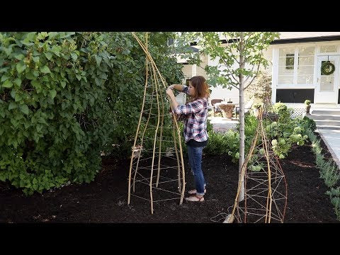 Willow Branch Trellis Project