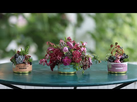 Ideas for Repurposing Tea Tins!