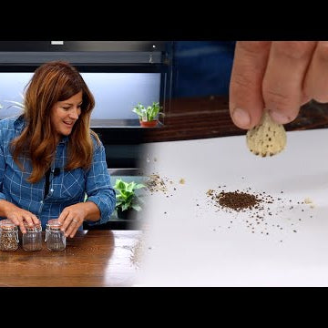Saving Seeds From the Garden to Plant Next Year!