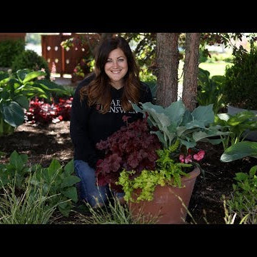 Perennial Shade Container