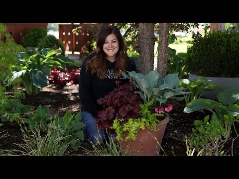 Perennial Shade Container