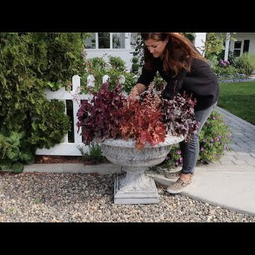 Deconstructing a Perennial Container & Planting Them in the Garden!