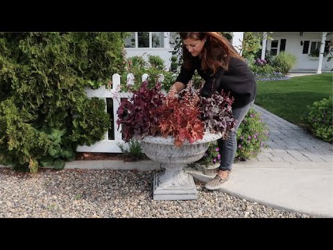 Deconstructing a Perennial Container & Planting Them in the Garden!