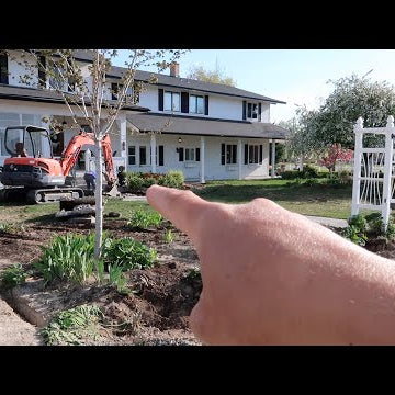 Update on Front Yard Destruction, Transplanting a Few Things & Driveway Weed Control!