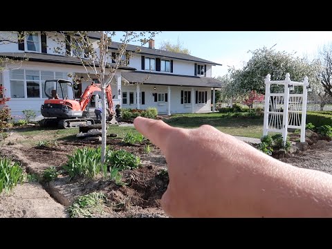 Update on Front Yard Destruction, Transplanting a Few Things & Driveway Weed Control!