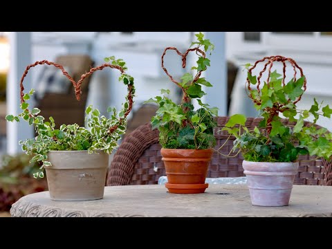DIY Wire Topiaries for Houseplants!