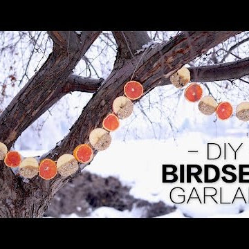 DIY Birdseed Garland