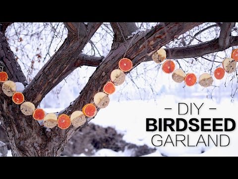 DIY Birdseed Garland