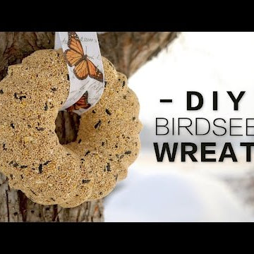 DIY Birdseed Wreath