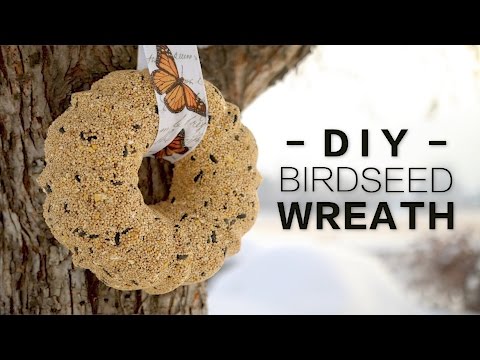 DIY Birdseed Wreath