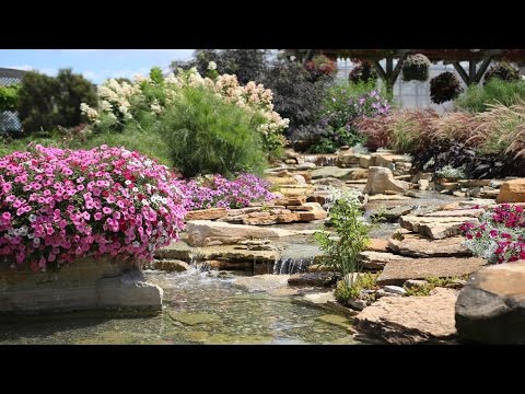 Four Star Greenhouse Display Garden Tour