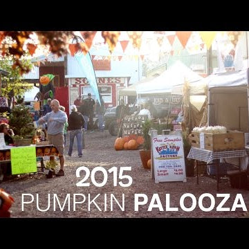 Pumpkin Palooza 2015