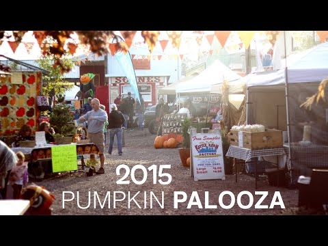 Pumpkin Palooza 2015