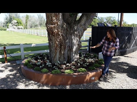 Planting a New Spot in My Garden with Caladiums!