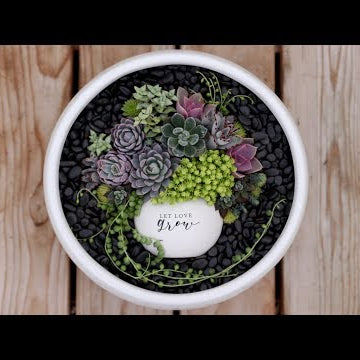 Succulent Pot in a Pot!