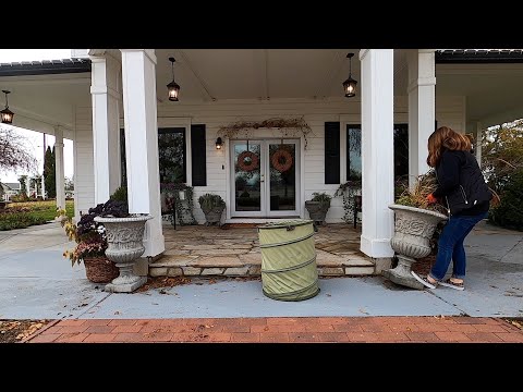 Transferring Perennials & Shrubs from Fall Containers to the Landscape + Fall Porch Cleanup!