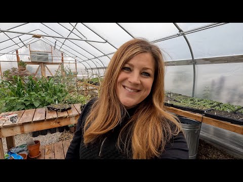 Seedlings: Tour, Thinning, Separating, Potting Up & Fertilizing!