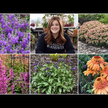 5 Must Have Perennials for Your Garden!