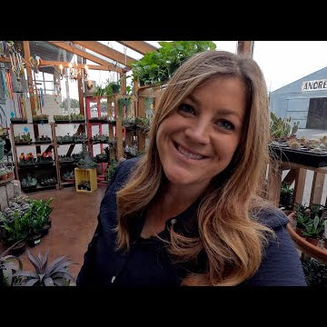 New Load of Houseplants at the Garden Center Tour!