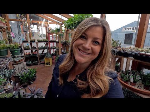 New Load of Houseplants at the Garden Center Tour!