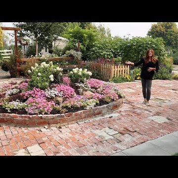 Tour of the Butterfly Garden & Hartley Greenhouse Update!