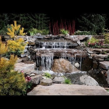 Checking Out the Northwest Flower & Garden Festival in Seattle!