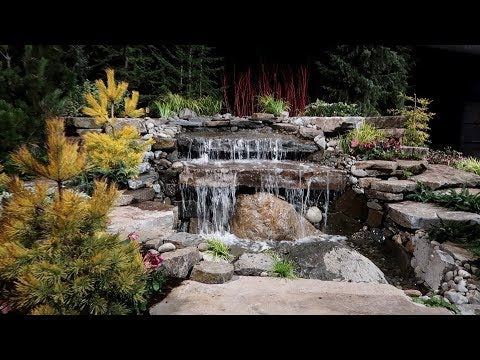 Checking Out the Northwest Flower & Garden Festival in Seattle!