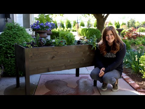 Raised Bed Cocktail Garden!